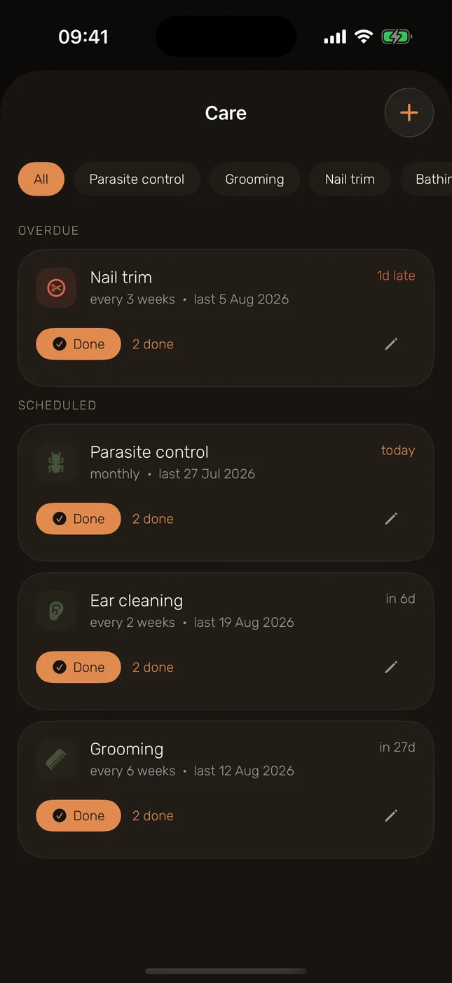 Daily care in one round — meals, meds and walks